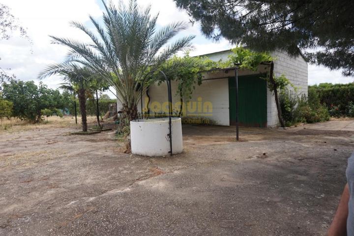 ESTUPENDA PARCELA EN EL HIGUERON. photo 0