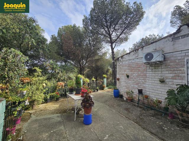 Parcela de 1.000mt2 en 7 fincas photo 0