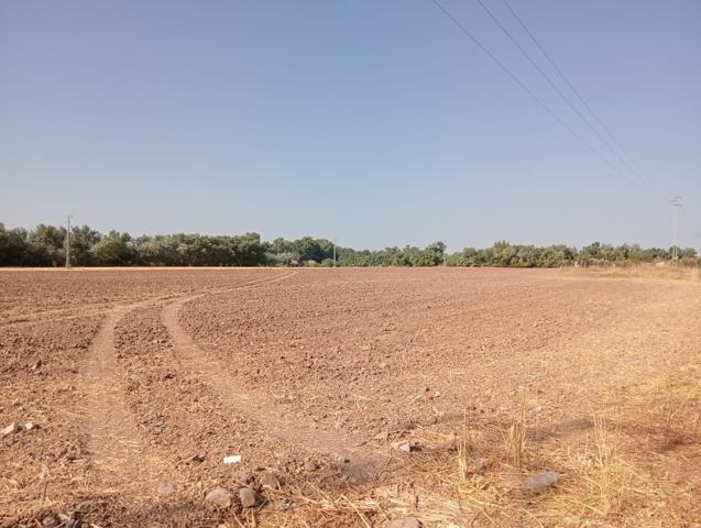 GRAN FINCA ZONA CARRETERA AEROPUERTO. photo 0