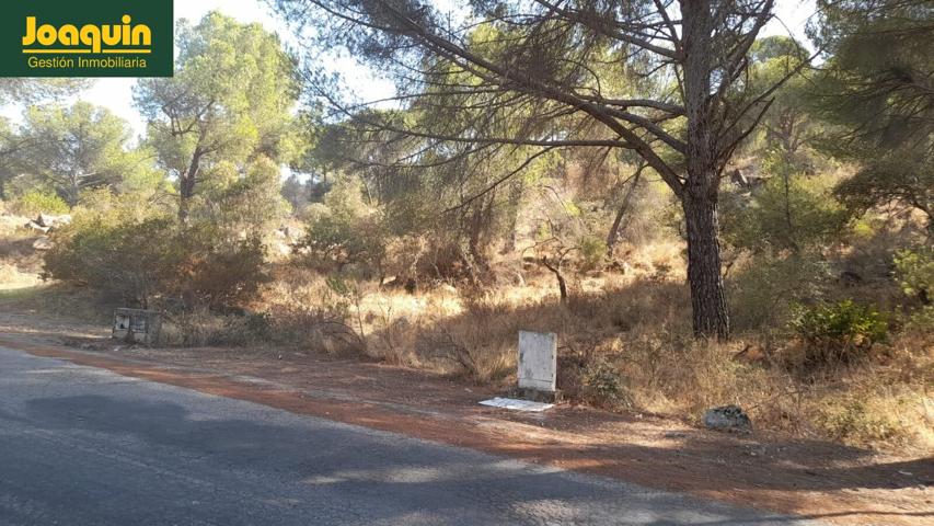 Se vende terreno urbano photo 0