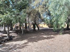 Casa De Campo En venta en Finca Paraiso, San Juan De Los Terreros photo 0