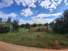 EN VENTA PARCELA RÚSTICA EN VIVERO DE TIZA photo 0