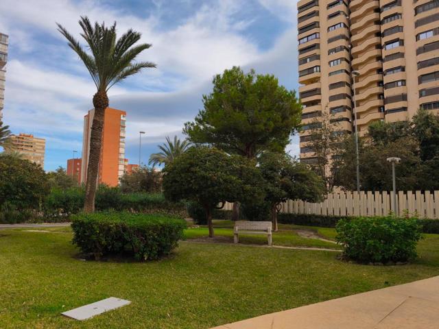 Piso en venta en Alacant de 88 m2 photo 0