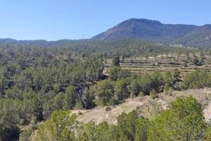 Casa - Chalet en venta en Pinares de Mecli de 120 m2 photo 0