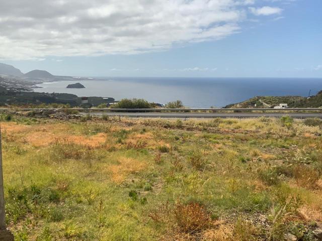 ¡¡A CONSULTAR!! 6350 m2|Finca de uso agrario en Icod de Los Vinos photo 0