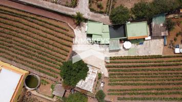 Finca de 3000 m2 con vivienda en Pino Alto, La Orotava photo 0