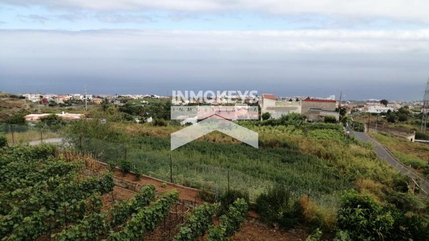 1300 m2 | FINCA con VIVIENDA en Los Realejos photo 0
