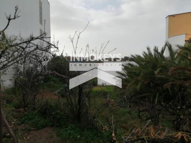 4191 m2 | Solar urbano en Santa Úrsula photo 0