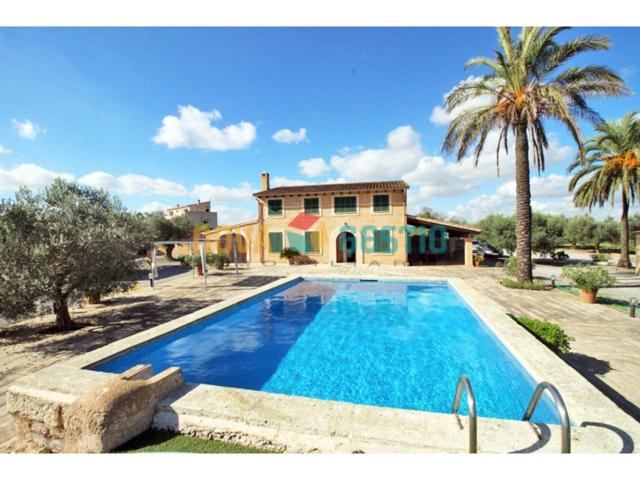Finca rústica con piscina en alquiler en Manacor photo 0
