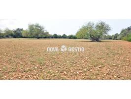 Terreno edificable con vistas en venta Manacor photo 0