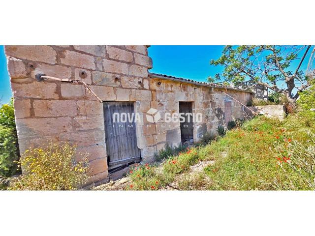 Finca rustica en venta en Manacor edificable photo 0