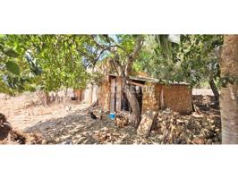 Finca rústica en venta en Felanitx photo 0