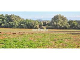 Terreno rústico edificable en venta en Manacor photo 0