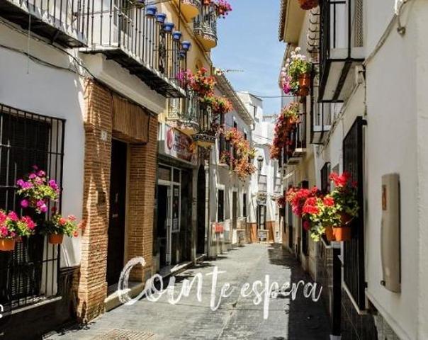 PISO CON CARACTER ANDALUZ EN EL CASCO HISTORICO DE COIN photo 0