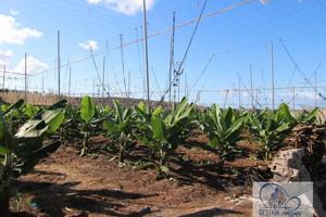 Terreno Urbanizable En venta en Guía De Isora, Guía De Isora photo 0