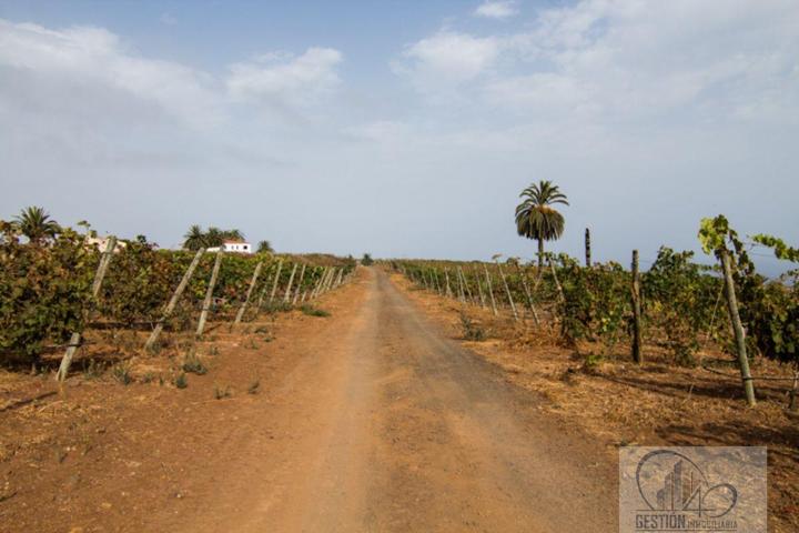 Terreno Urbanizable En venta en Barranco Hondo, Santa Úrsula photo 0