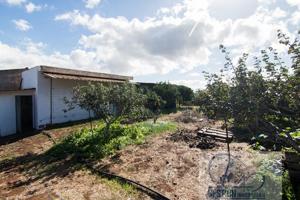 Terreno Urbanizable En venta en Los Baldíos, La Laguna photo 0