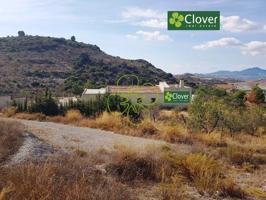 En venta una finca y vivienda en la diputación de Jarales. photo 0