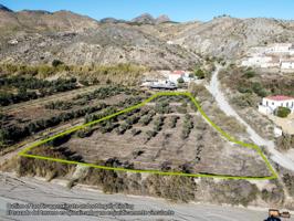Terreno Urbanizable En venta en Rambla De Oria, Oria photo 0