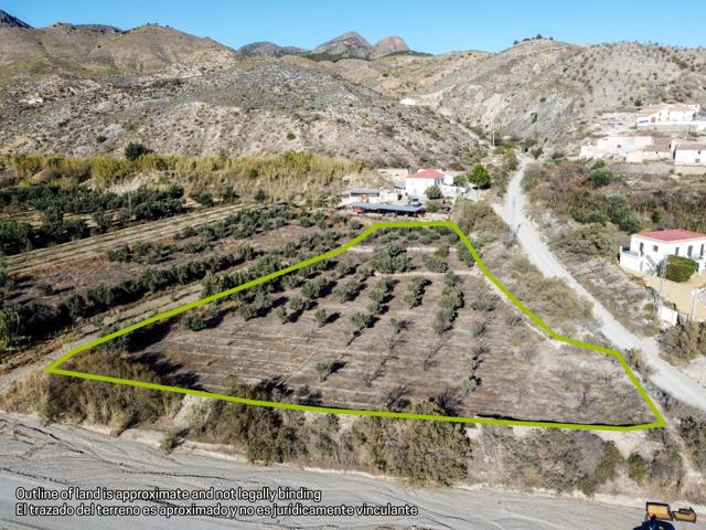 Terreno Urbanizable En venta en Rambla De Oria, Oria photo 0