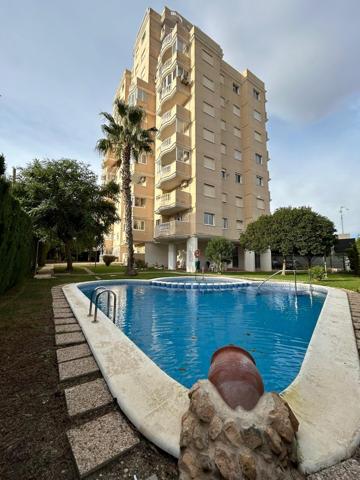 Excelente piso de 3 dormitorios en Torrevieja photo 0