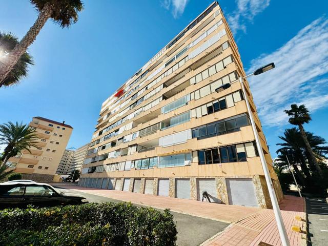 Vive el Encanto de Cabo Cervera: Apartamento a 100m del Mar con Piscina photo 0