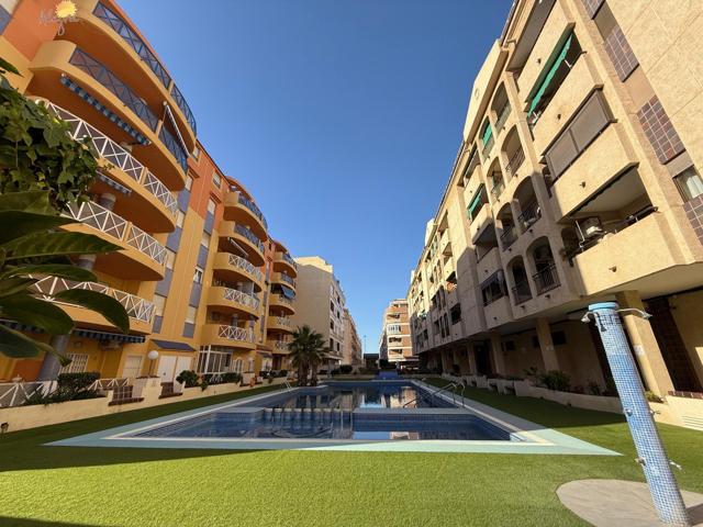 OCASIÓN ÚNICA EN TORREVIEJA: 1 HABITACIÓN, PISCINA Y CERCA DE LA PLAYA photo 0