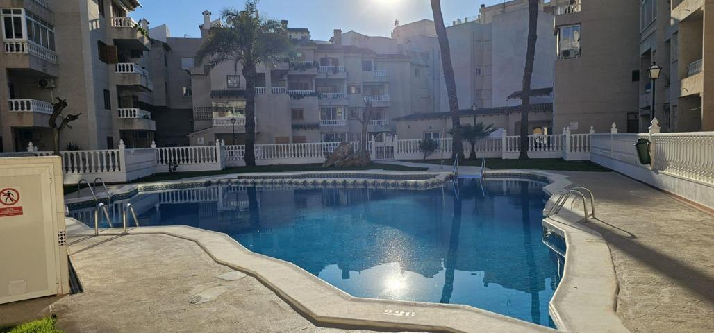 APARTAMENTO A 100 METROS DE PLAYA ,TORREVIEJA photo 0