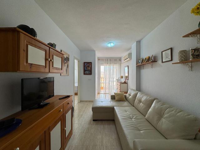 BONITO APARTAMENTO EN EL CENTRO DE TORREVIEJA CON PISCINA. 1 DORM. 1 BAÑO. 48 M2. PLAYA A 1000 METR. photo 0