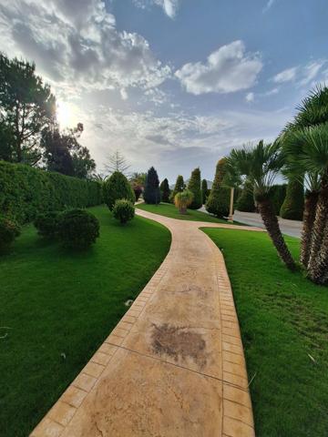 Se vende Lujosa Mansion a 10 minutos de Elche en ASPE photo 0
