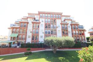 APARTAMENTO EN PLANTA EN RESIDENCIAL TORRESOL I CON JARDIN PRIVADO DE 15 M2. 2 DORM. 1 BAÑO. CON PISCINA COMUNITARIA. photo 0