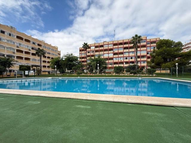 Exclusivo apartamento con 2 dormitorios, 1 baño, parcela de tierra 23m2, garaje y piscina photo 0