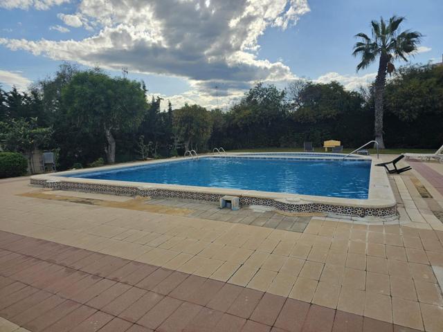 APARTAMENTO CON PISCINA DE 1 DORMITORIO Y 1 BAÑO EN PUNTA PRIMA. CON SUPERFICIE DE 72 M2. PLAYA A 600 METROS. photo 0