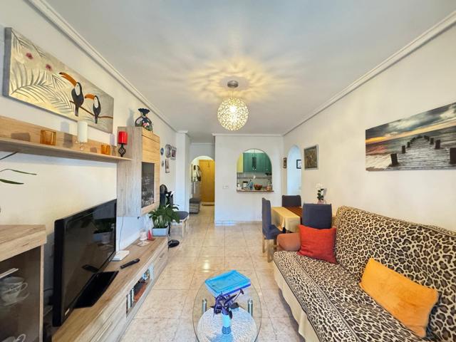 APARTAMENTO EN EL CENTRO DE TORREVIEJA CON PISCINA. 2 DORM. 1 BAÑO. SUPERFICIE 55 M2. PLAYA A 1000 METROS. photo 0