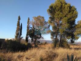 Finca Rústica en venta en Zaragoza de 2200 m2 photo 0