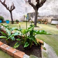 CASA EN EL PENEDES photo 0