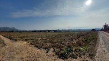 Tierras de cultivo en venta en Torroella de Montgrí, Costa Brava, Baix Empordà photo 0