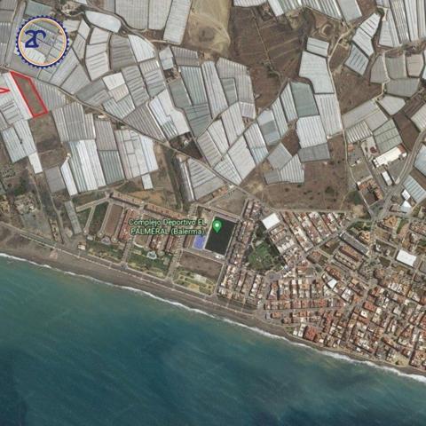 FINCA BALDIA EN BALERMA photo 0