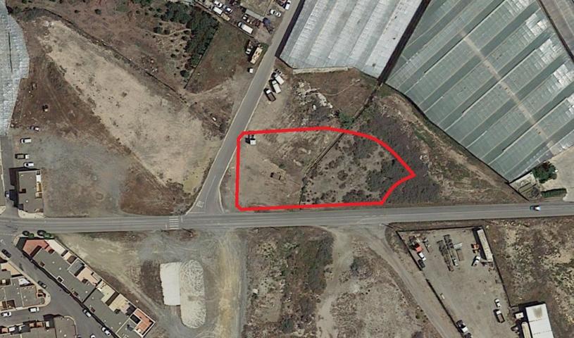 TERRENO URBANIZABLE EN MATAGORDA (EL EJIDO) photo 0