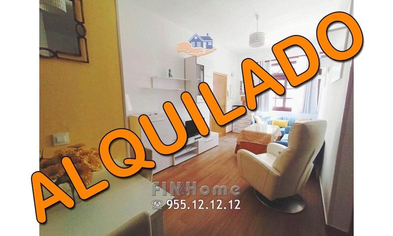 Apartamento en alquiler en Triana. photo 0