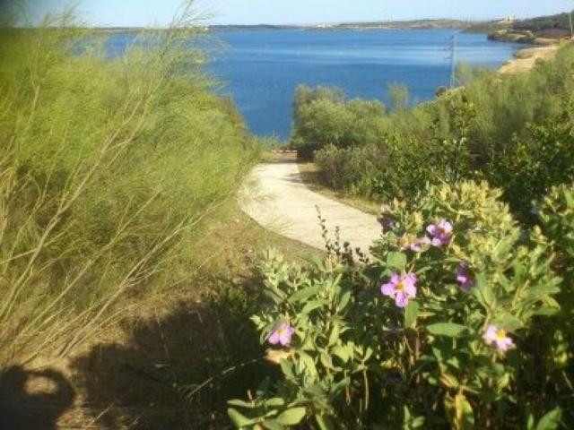 Venta de parcela rustica en Almodóvar del Río, Córdoba photo 0