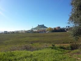 Se vende Finca (Suelo Urbanizable Sectorizado incluida en el PGOU) en Almodóvar del Río, Córdoba photo 0