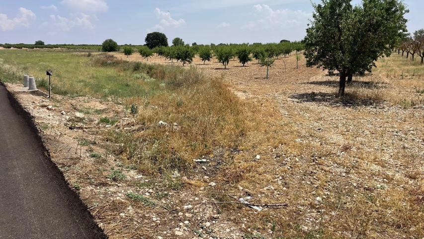 Se vende parcela rústica en Mahora, Albacete photo 0