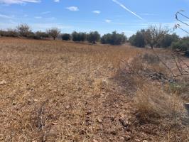 Terreno Rústico en venta en Jorquera, Albacete photo 0
