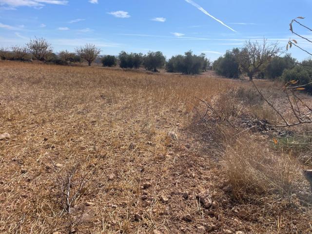Terreno Rústico en venta en Jorquera, Albacete photo 0