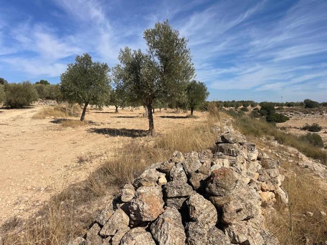 Terreno Rústico en venta en Jorquera, Albacete photo 0