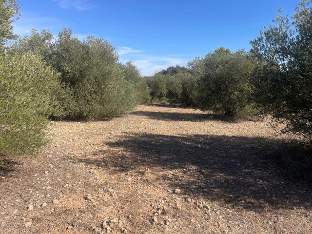 Terreno Rústico en venta en Jorquera, Albacete photo 0