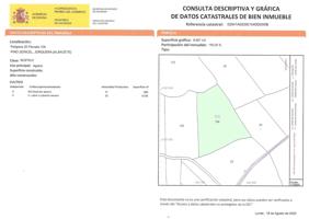 Lote de parcelas rústicas en venta el Jorquera, Albacete. photo 0