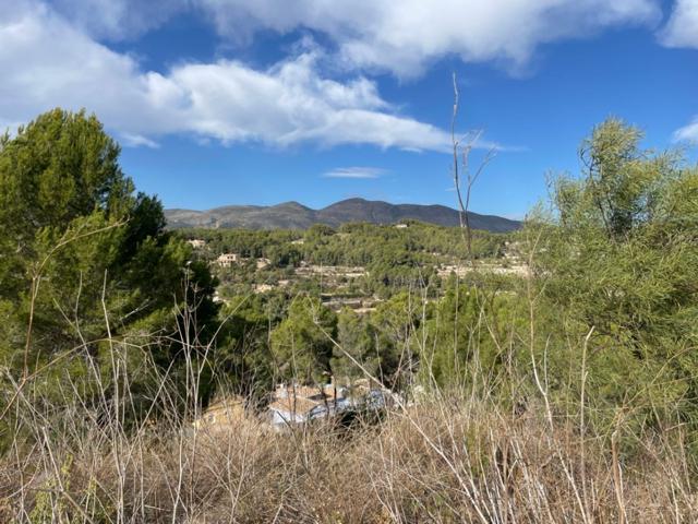 Terreno Urbanizable En venta en Partida Empedrola Sup, Cometa-Carrió, Calpe photo 0