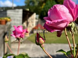 CASA 3 PLANTAS CON FINCA PORCHE Y TERRAZA. CABANAS photo 0
